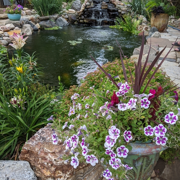 Meet your Posher, Kathleen - Picture 9 of 16